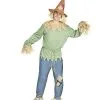 Spirit Halloween Adult Scarecrow Costume 1 Spirit Halloween Adult Scarecrow Costume -SPIRIT HALLOWEEN Sales 01312115 a