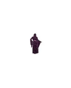 Spirit Halloween Adult Velvet Celestial Robe -SPIRIT HALLOWEEN Sales 01475532 e