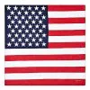 Spirit Halloween Americana Bandana -SPIRIT HALLOWEEN Sales 01508548 a