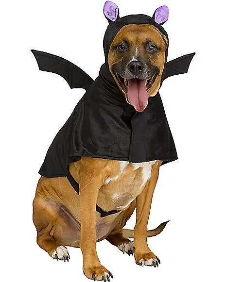 Spirit Halloween Bat Pet Costume -SPIRIT HALLOWEEN Sales 01579820 a