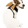 Spirit Halloween Orange Web Wings Pet Harness -SPIRIT HALLOWEEN Sales 07466394 a